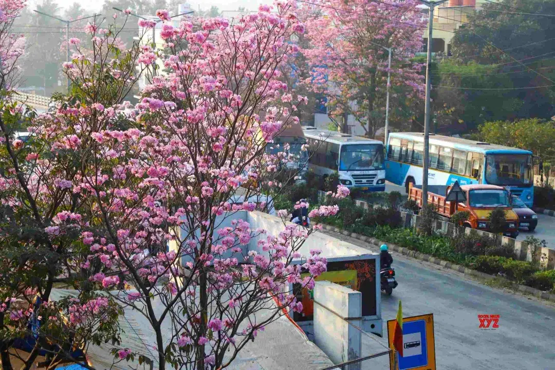 Fully Furnished Houses for Rent in Naagarabhaavi Bangalore: Premium 1 BHK, 2 BHK & 3 BHK Options