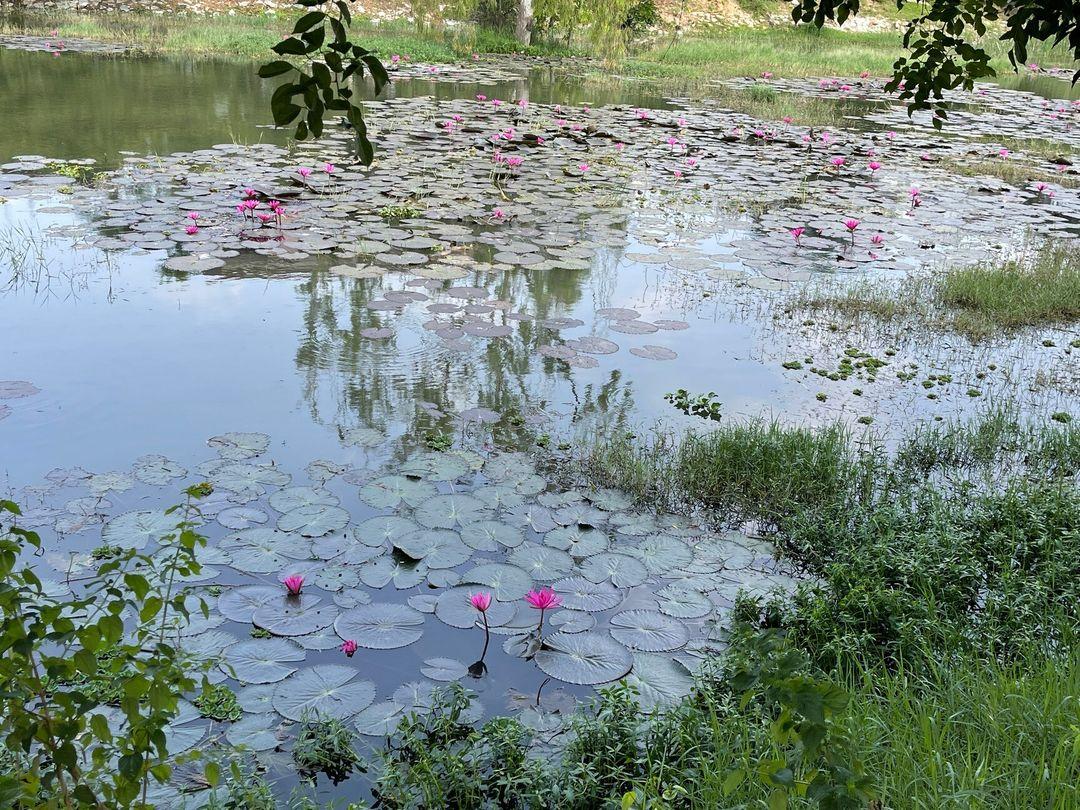 Fully Furnished Apartment for Rent in Kasavanahalli, Bangalore