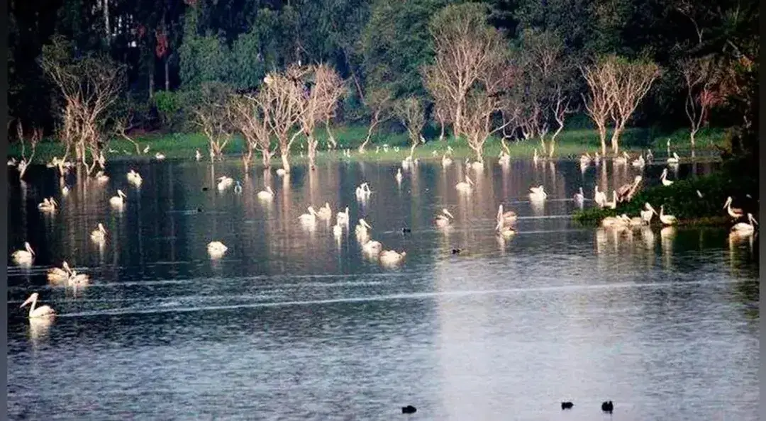 Fully Furnished Houses for Rent in Sarjapura: Premium 1 BHK, 2 BHK & 3 BHK Options