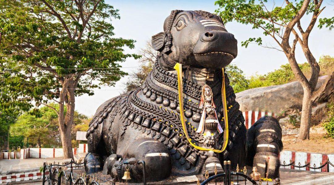 Fully Furnished Houses for Rent in Basavanagudi Bangalore: Premium 1 BHK, 2 BHK & 3 BHK Options