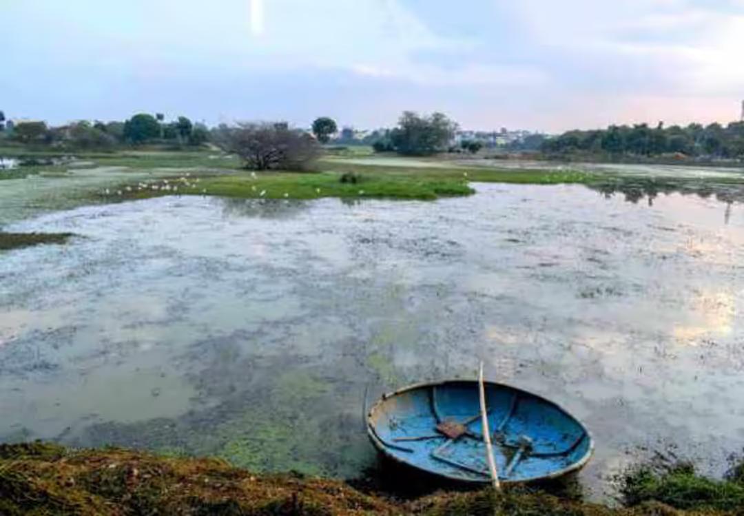 Fully Furnished Apartment for Rent in Dhanalakshmi Layout, Bangalore