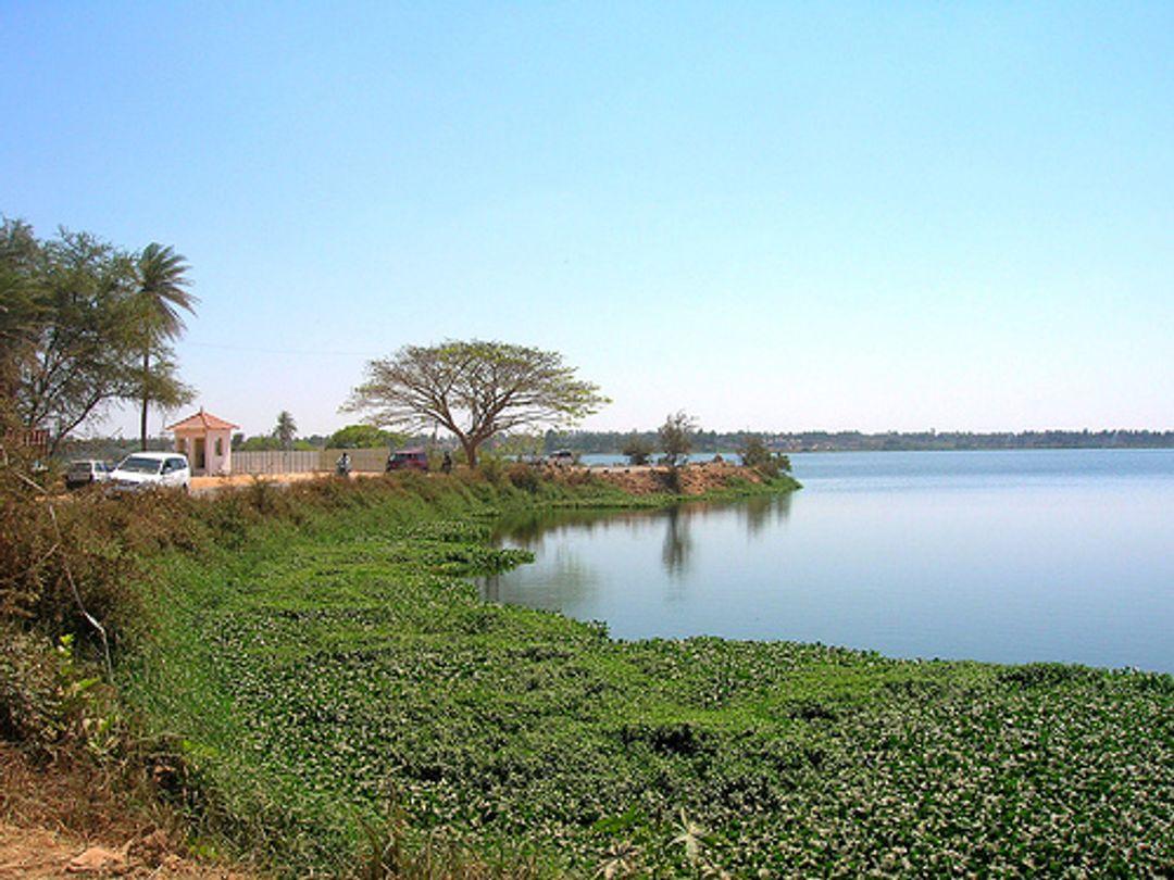 Fully Furnished Apartment for Rent in Patel Narayanswamy Layout, Bangalore