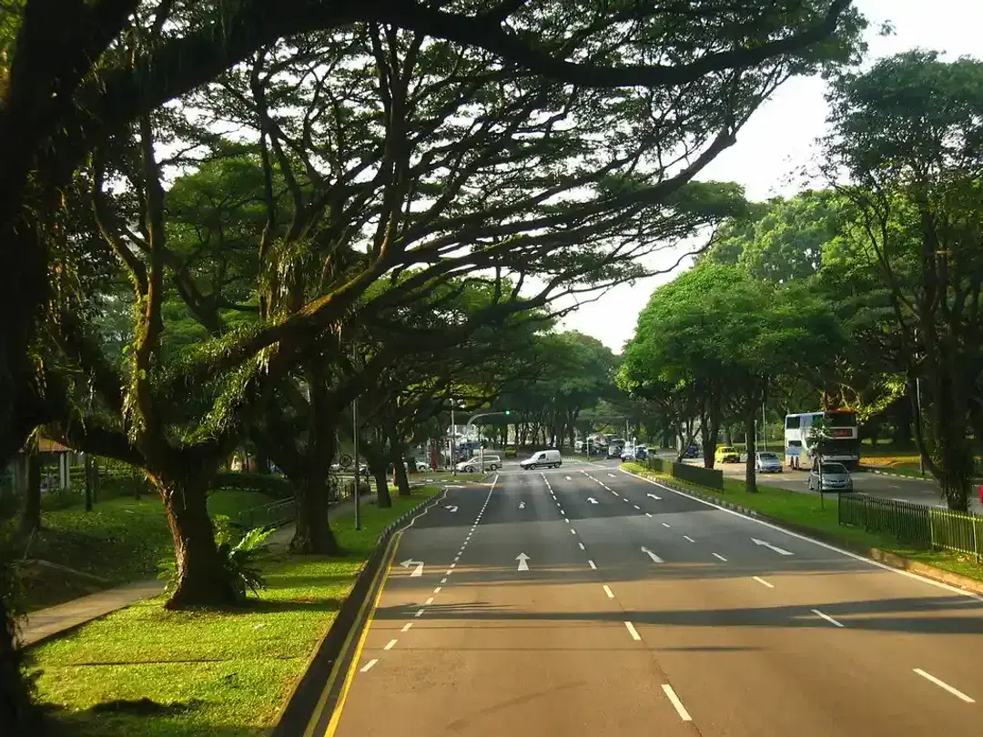 Fully Furnished Houses for Rent in Indiranagar Bangalore: Premium 1 BHK, 2 BHK & 3 BHK Options